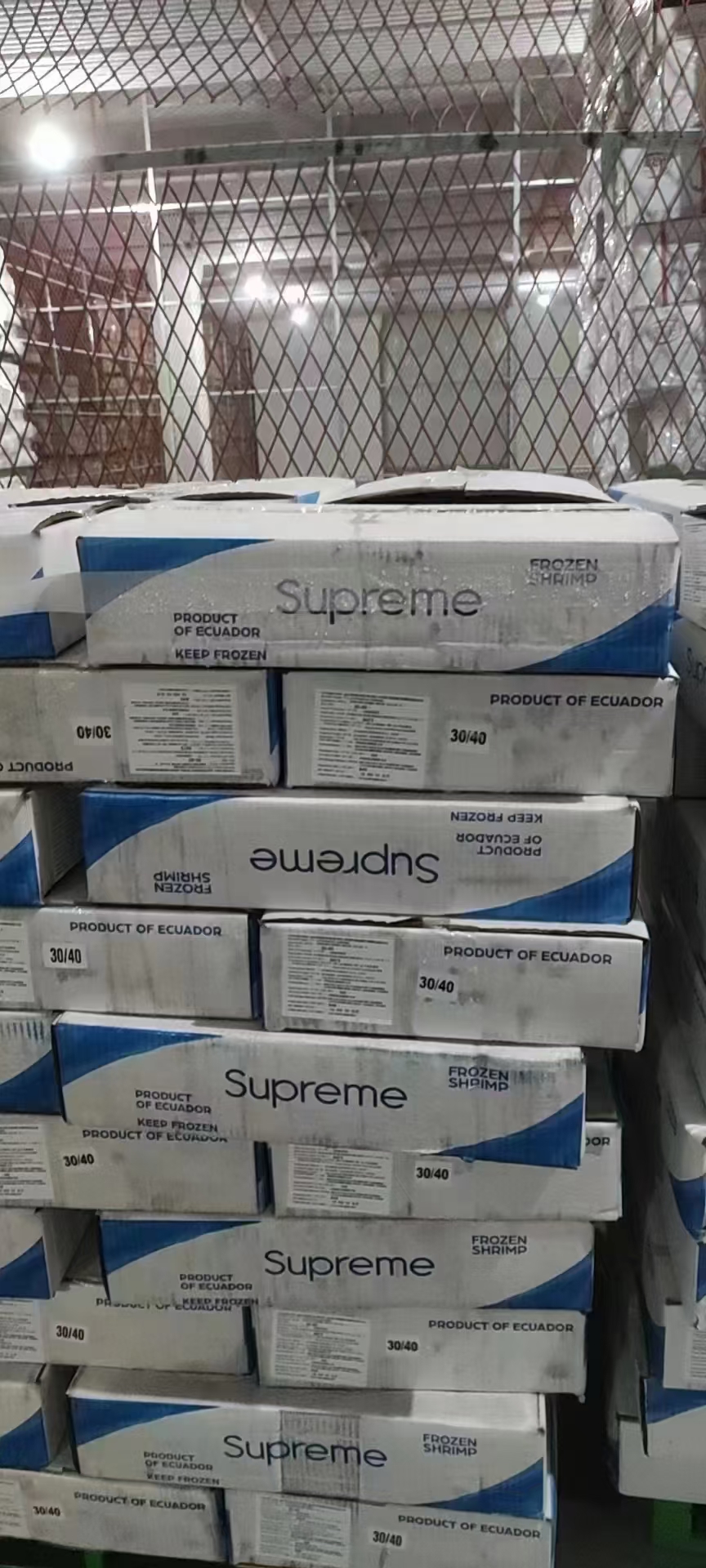 志高无上盐冻大板 2030 3040 天津现货5证