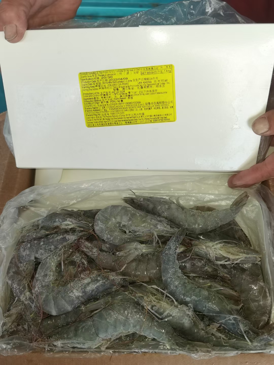 秘鲁金印 1.4KG×10盒 3040 4050，天环现货