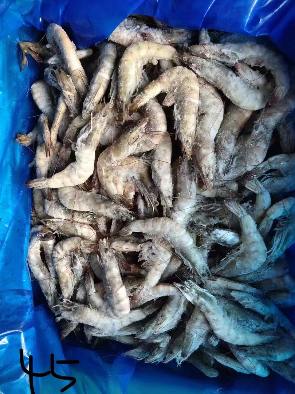 圣罗莎大板 6kg*2 3040 4050 5060 拼柜零担，天环现货 手续齐全