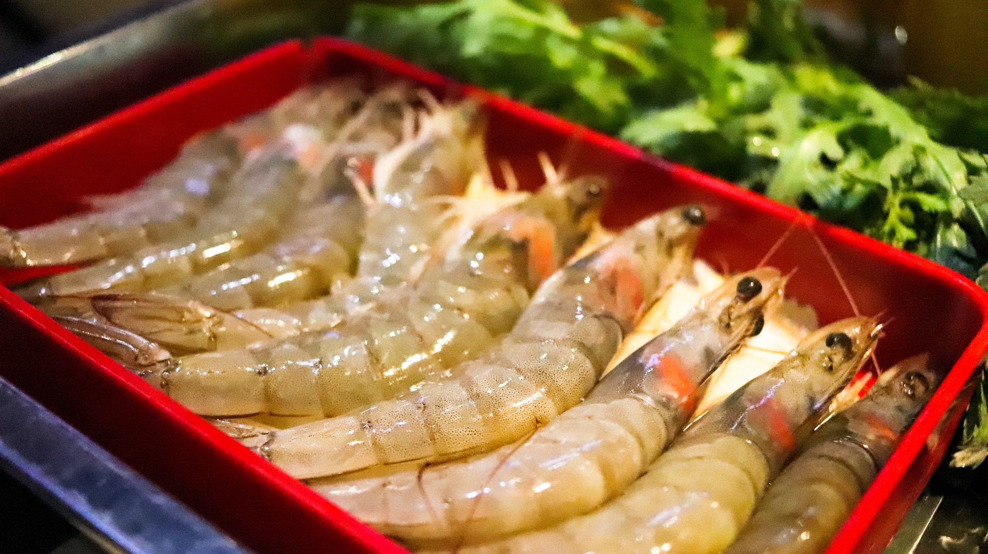 8月份,厄虾对华销量超5万吨,欧美市场萎缩