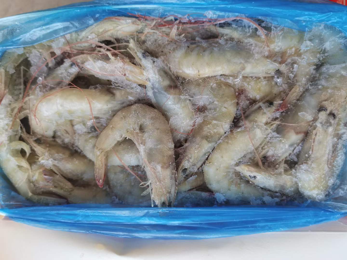 1.4kg国产水冻白虾 多尔品质 ​3040/4050/6070 ​河北天环出货方便