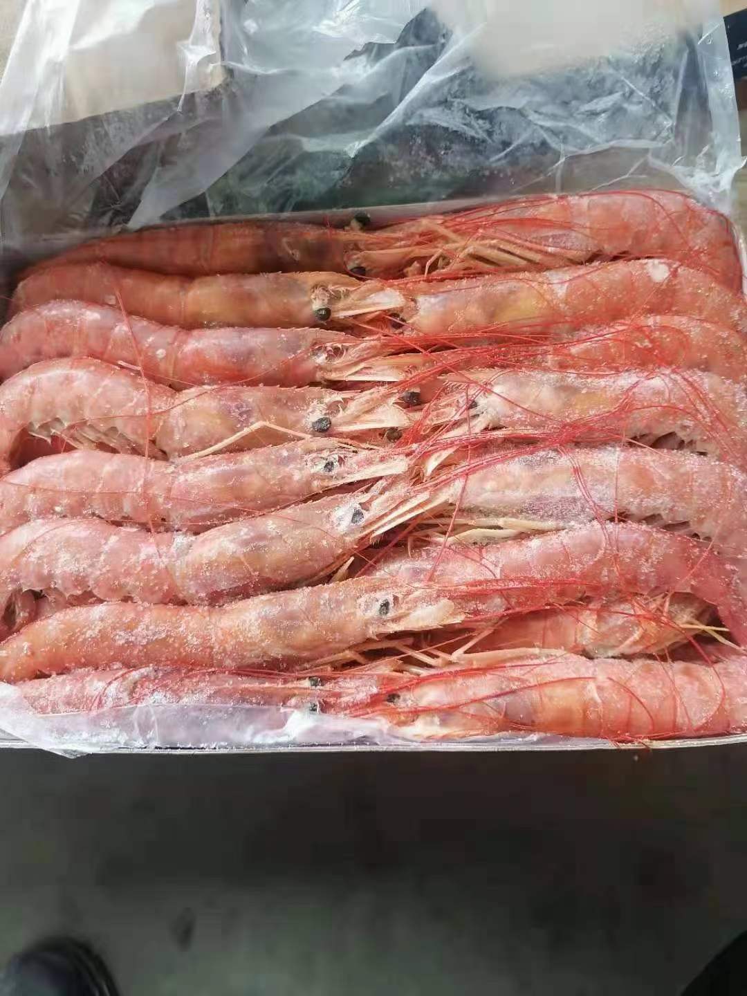 国产红虾一号，二号河北天环现货，可以出货，欢迎下单