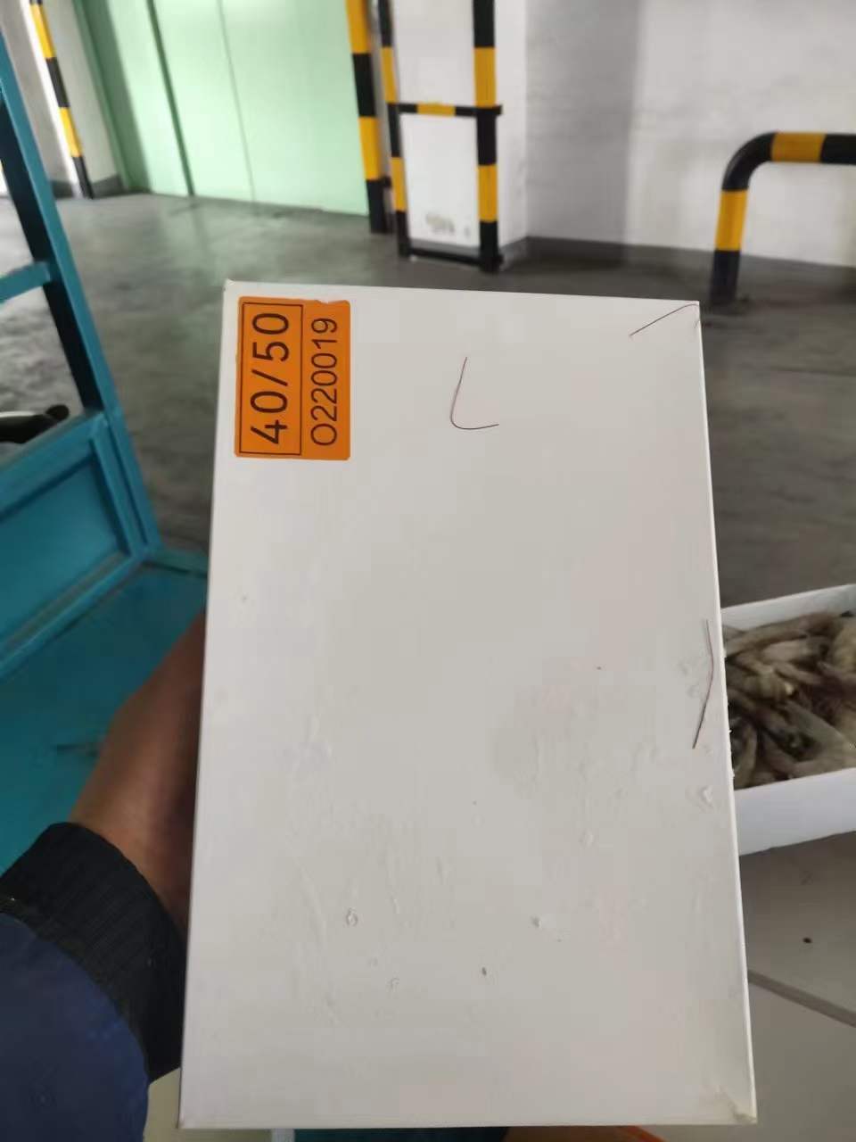 国产白盒白虾1.5kg*6 ​4050一件代发，需要了解的可以联系