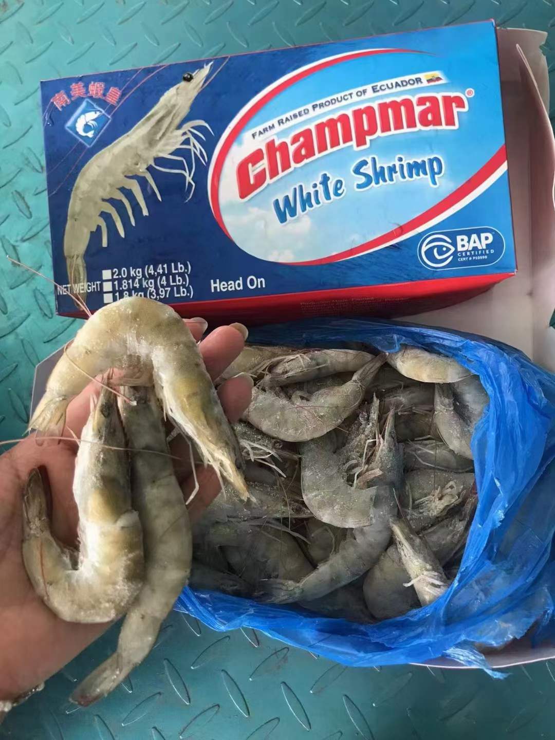1.8kg虾皇水冻白虾2030/3040/4050，天环发货