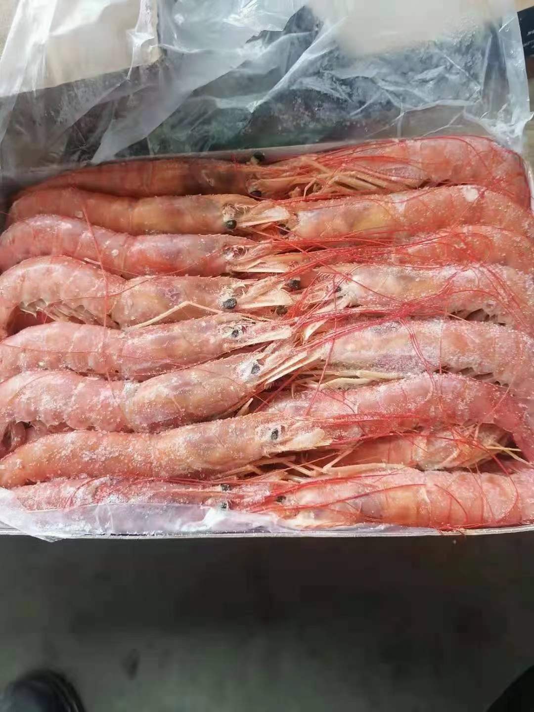 10月7日：进口原装阿根廷大红虾NOS工厂，天津现货，大大1号，价格便宜