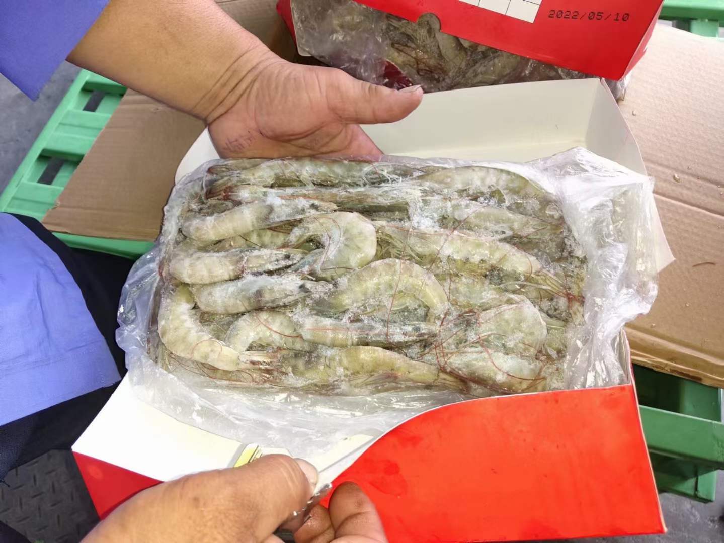 10月7日：1.4kg国产水冻白虾 多尔品质 ​3040/4050/6070 ​河北天环出货方便