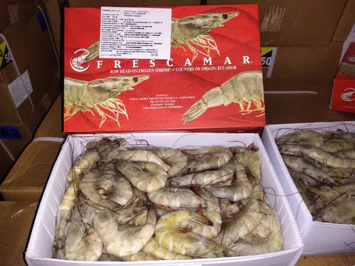 10月7日：厄瓜多尔南美白虾 ​1.5EMP盐冻4050/5060河北天环现货