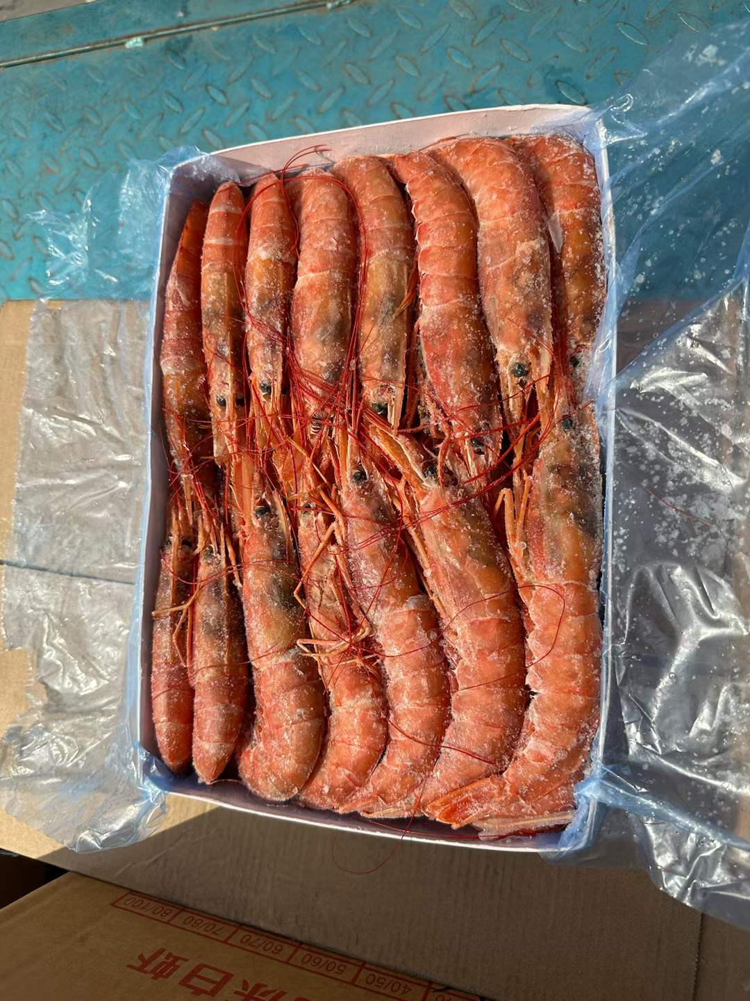 10月7日：国产红虾一号，二号，全部天环发货，价格优惠