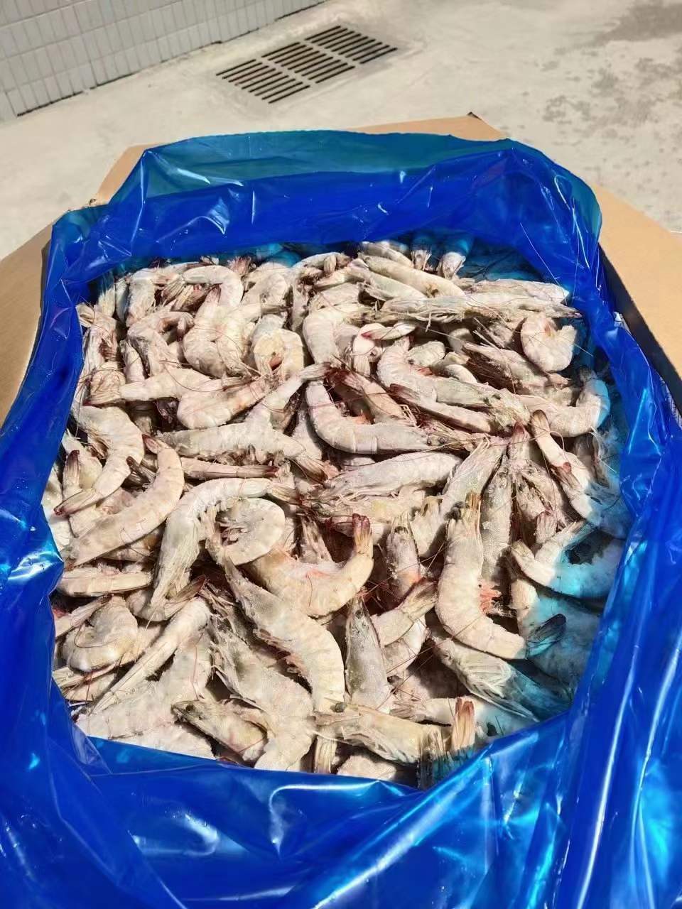 10月7日：12kg圣罗莎盐冻大板白虾，3040-4050-5060，河北天环现货，价格美丽