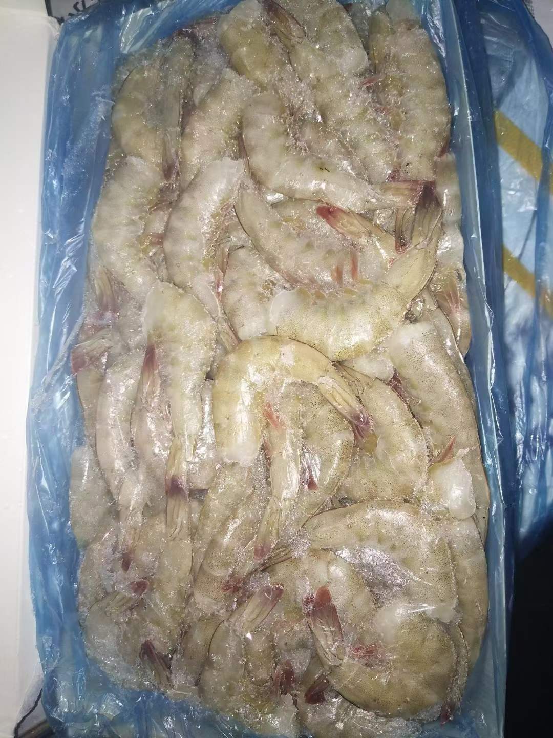 10月8日：厄瓜多尔无头白虾5KG*4盒 26/30 31/35 36/40 41/50 51/60，天津现货 厄瓜多尔三个公主无头白虾2KG*10盒 41/50 51/60，天环现货