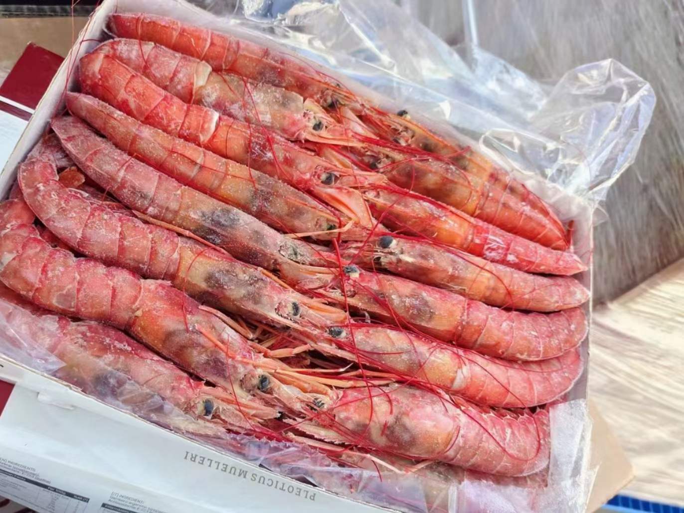 10月8日：国产红虾一号，二号，全部天环发货，价格优惠