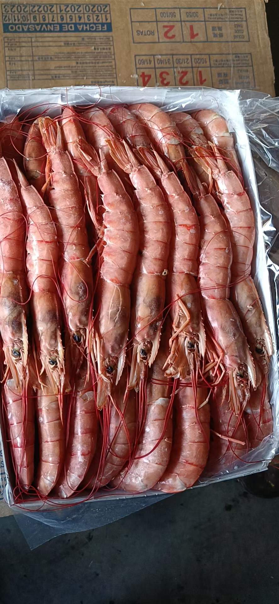 10月8日：进口阿根廷红虾1号，2号，阿布玛莎，刺身品质，需要联系