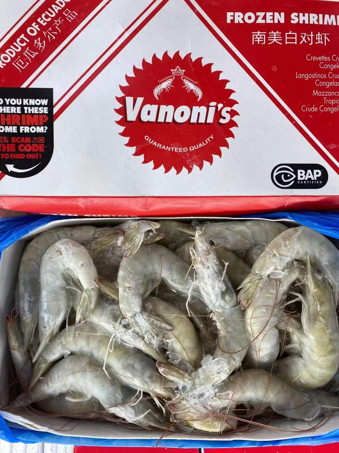 10月8日：厄瓜多尔南美白虾 欧玛莎水冻1.4kg ​3040/4050/5060整柜散出均可