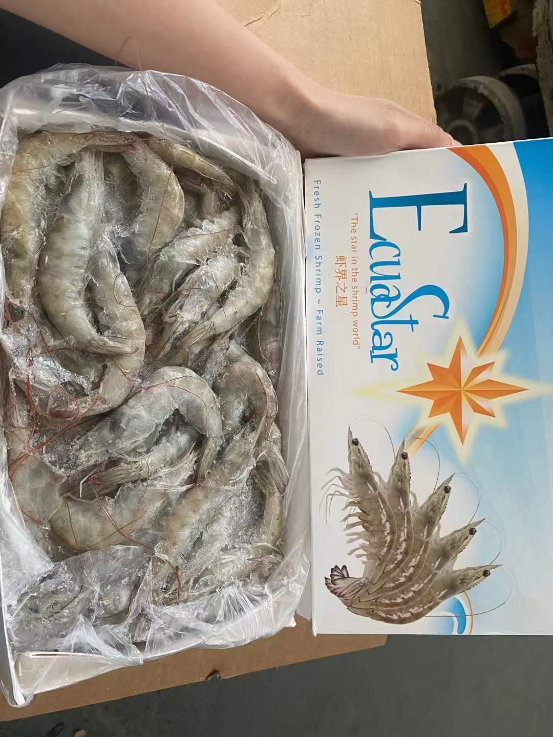 10月8日：康非码白虾1.4块 30-40-540 40-50-200 50-60-560 ​天津提货