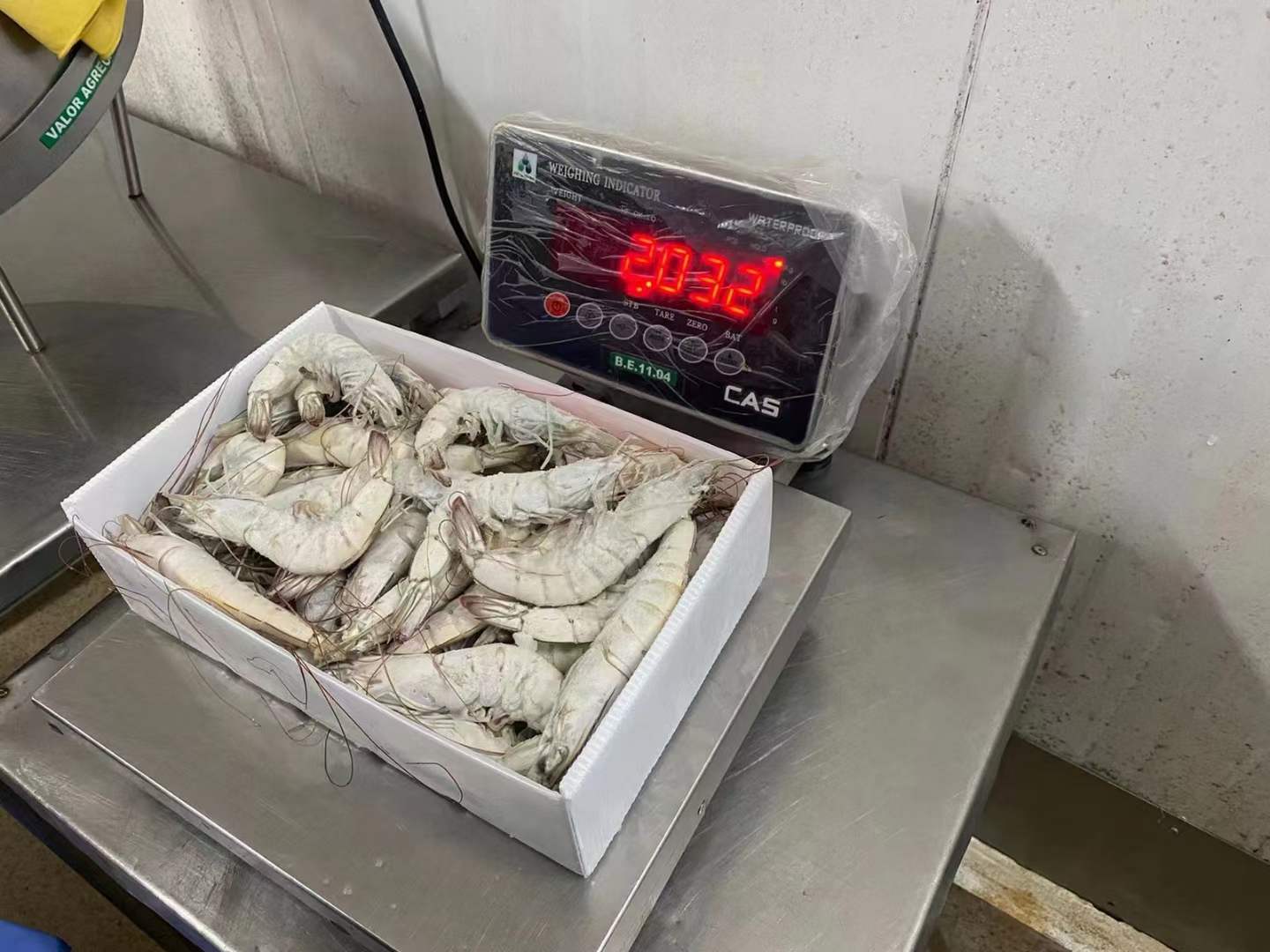 10月9日：厄瓜多尔南美白虾 ​1.5白盒盐冻4050/5060河北天环现货