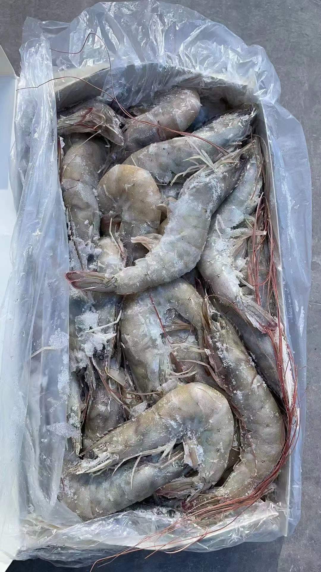 10月9日：厄瓜多尔南美白虾 ​王牌水冻1.4kg 3040/4050/5060 ​全部现货，需要私聊