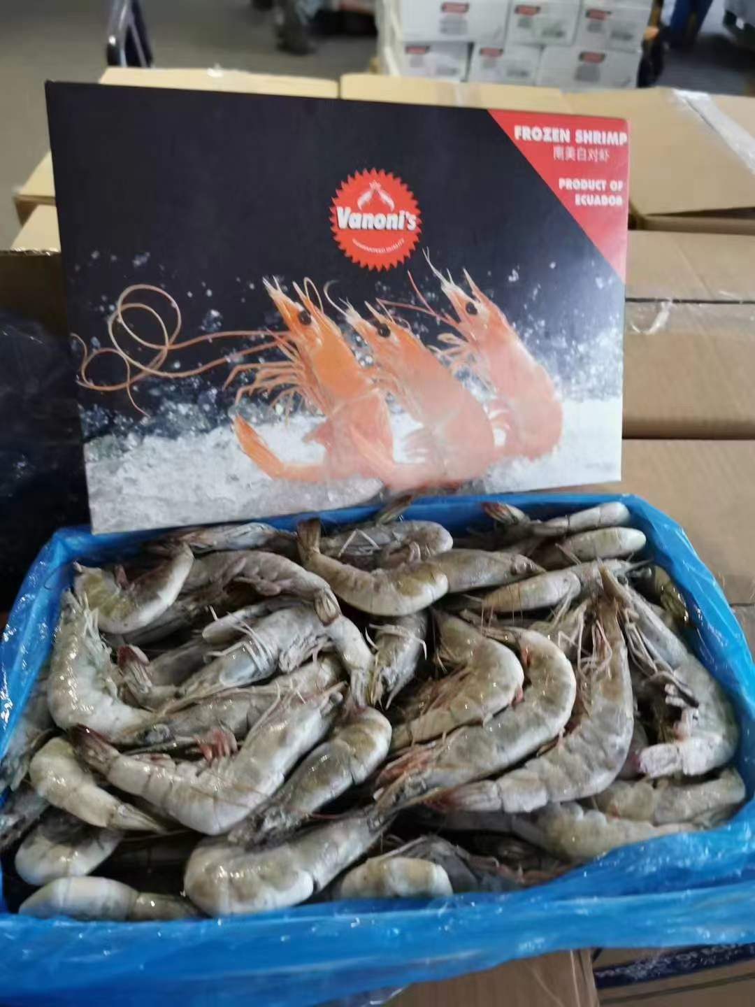 10月9日：1.5kg欧玛莎盐冻白虾，4050，天环5证，价格便宜，可零担