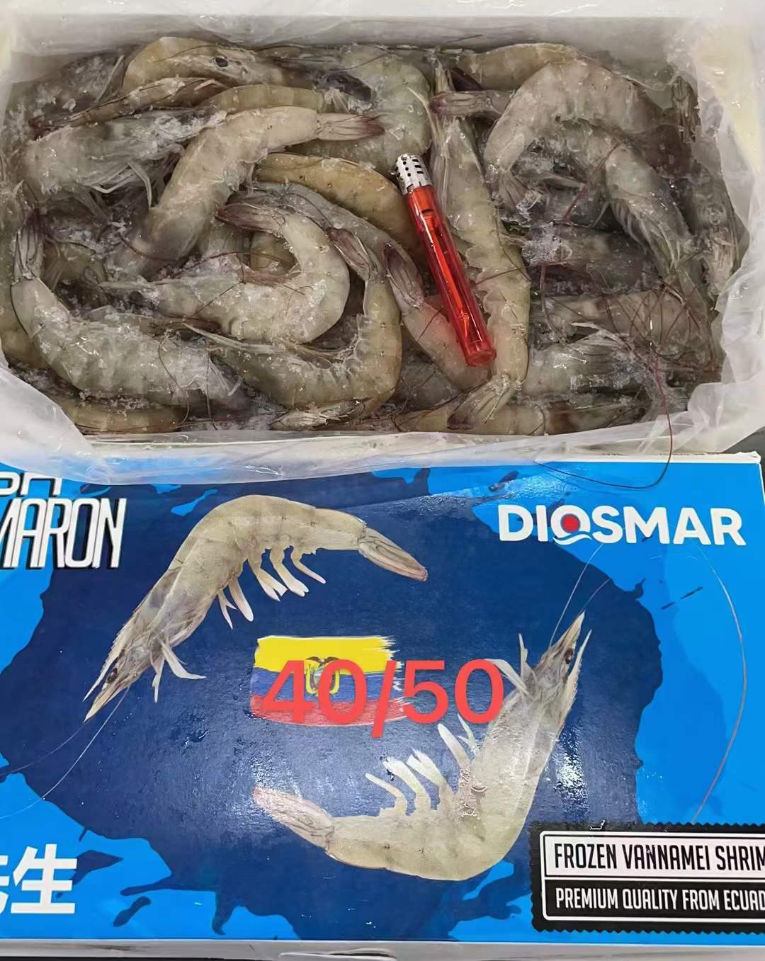 10月9日：虾先生水冻白虾1.4kg ​3040天津单规格整柜现货