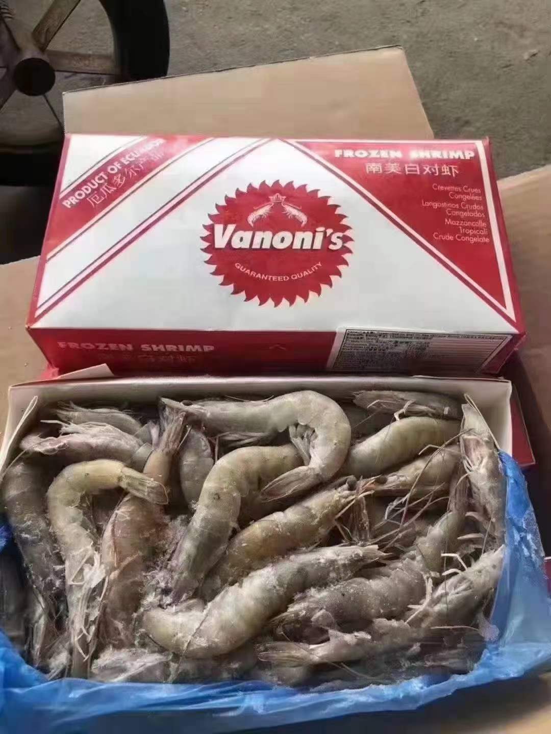 10月10日：厄瓜多尔南美白虾 ​欧玛莎水冻1.4kg 3040/4050/5060 ​全部现货，需要私聊