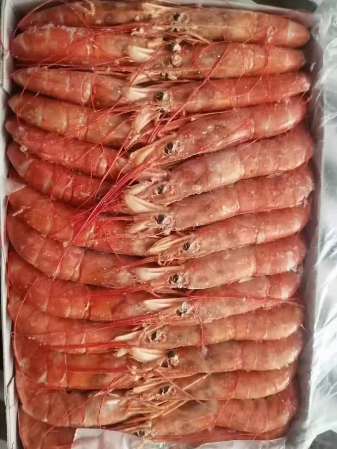 10月10日：黑盖海捕大红虾现货已经调价。询价不亏。